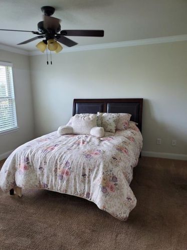 3827 County Seat Ln, Richmond TX 77469-1684 exterior