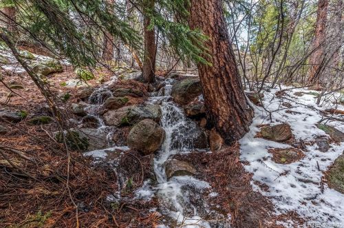 27132 Log Trl, Conifer CO  80433-7222 exterior