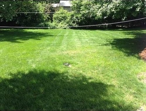 327 Dedham St, Newton MA 02461-2108 exterior