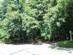 243 Windsor Rd, Newton, MA 02468-1119