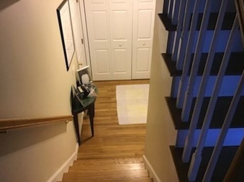 15 Nathaniel Ct, Worcester MA 01604-1516 exterior