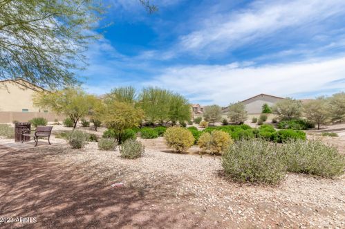 3924 79th Ln, Phoenix AZ  85043 exterior