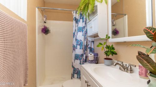 3039 Aster Dr, Phoenix AZ 85032-7419 exterior