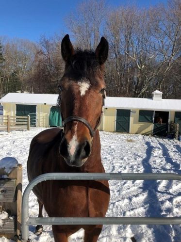 16 Pierce Rd, Sutton MA 01590-2909 exterior