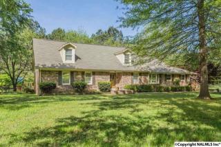 418 Williams And Broad Dr, Brownsboro AL  35741-9312 exterior