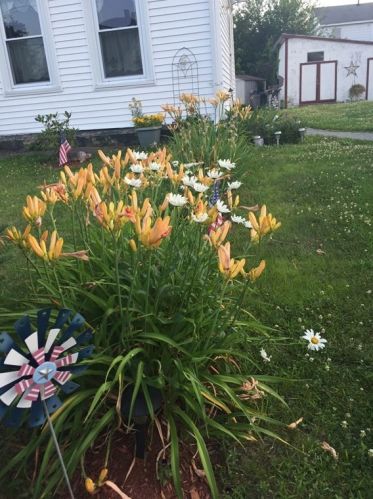 178 Merrimack St, Methuen MA 01844-5600 exterior