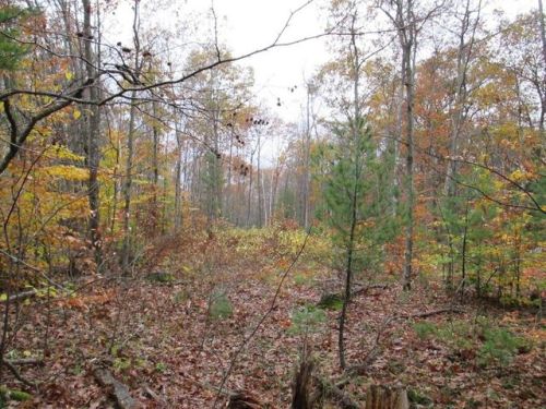 119 French Rd, Templeton MA  01468-1135 exterior