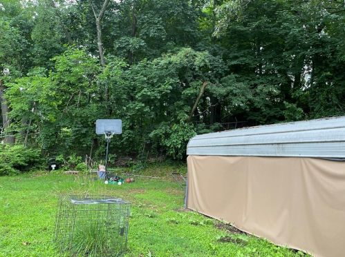 12 Floral St, Lawrence MA  01841-4516 exterior