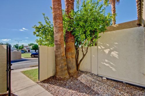 6023 79th St, Scottsdale AZ  85250-4705 exterior