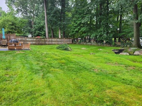 16 Adorn St, Weymouth MA 02188-1202 exterior