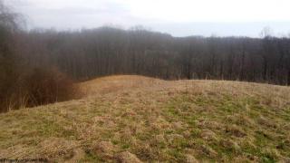 2313 Brandywine Rd, Industrial, WV 26426-8171