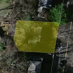 185 Grant Ave, Newton MA  02459-2012 aerial view