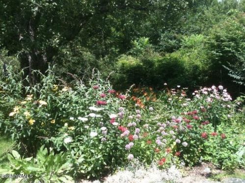 386 Oblong Rd, Williamstown MA 01267-3039 exterior