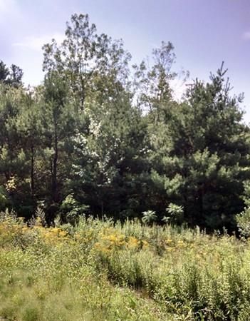 1 Oakhurst Rd, Sutton, MA 01590-2752