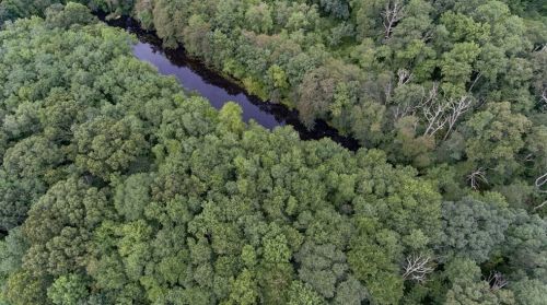 1364 Cohannet St, Taunton MA  02780-7136 exterior