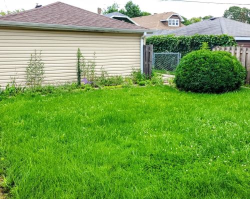 2439 Oak Park Ave, Forest View IL 60402-2530 exterior