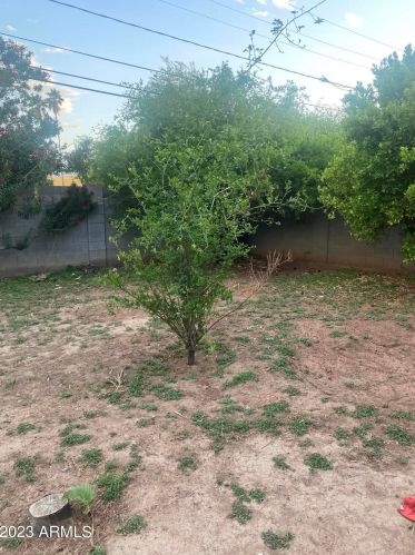 4109 Catalina Dr, Phoenix AZ 85031-3841 exterior