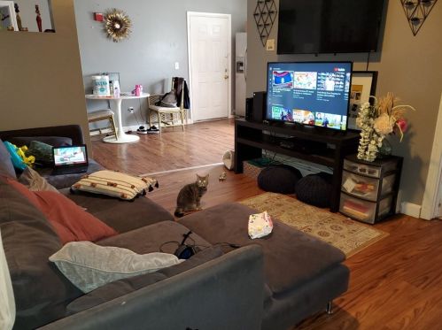 153 Belleville Ave, New Bedford MA 02746-2494 exterior