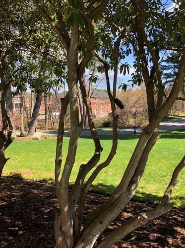 420 Great Rd, Acton MA 01720-4073 exterior