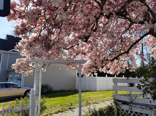 123 Reynolds Dr, Tinton Falls NJ  07724-2353 exterior