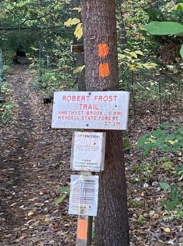 42 Webster Ct, Amherst MA 01002-2834 exterior