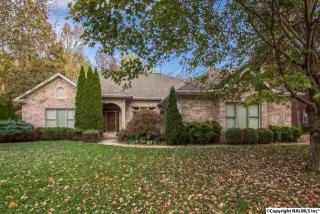 3009 Basswood Way, Brownsboro AL  35741-9391 exterior