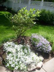 6 Scott Dr, Peabody MA  01960-1019 exterior