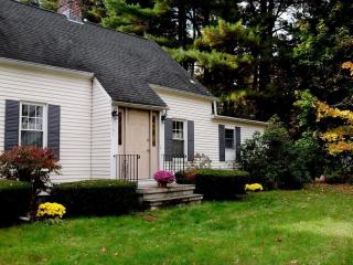 161 Pomeroy Ln, Amherst MA  01002-3240 exterior