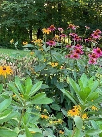 1221 Canton Ave, Milton MA 02186-3503 exterior