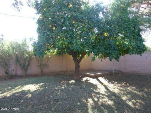 4115 Catalina Dr, Phoenix AZ 85015-6024 exterior