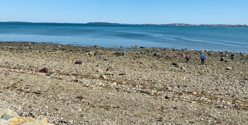 40 Greenleaf St, Quincy MA 02169-4481 exterior