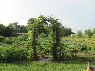 1368 Columbia Hill Rd, Monterey TN  38574-5438 exterior