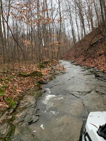 200 Willard Stone Rd, Columbia, KY 42715-8440