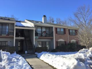 183 Irving Pl, Basking Ridge NJ  07920-3083 exterior